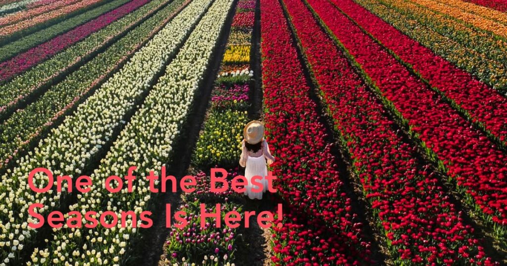 5 Dreamy Destinations for May