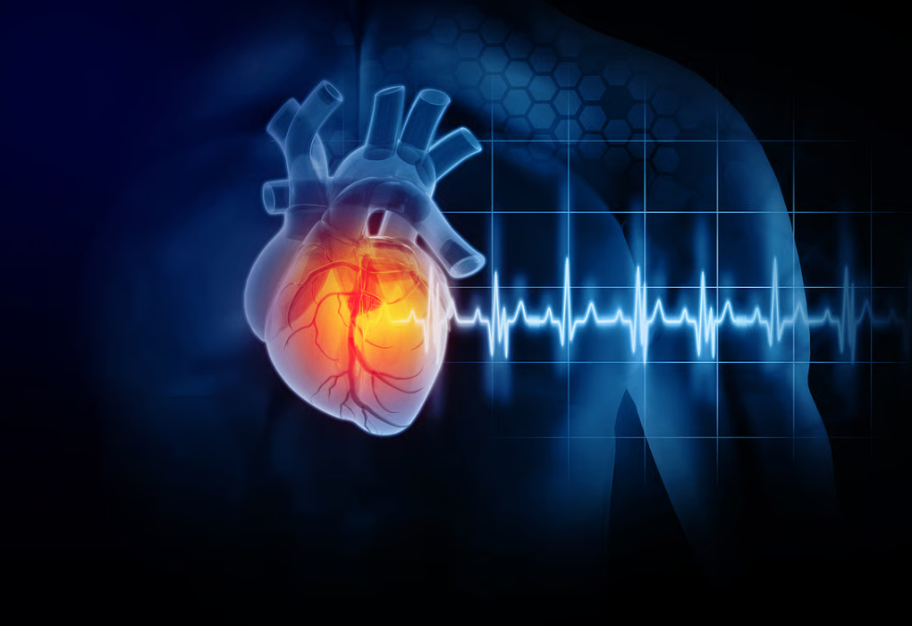The 2026 Apollo Health Report