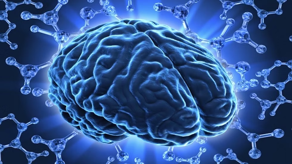 Surprising and Interesting Facts About the Human Brain