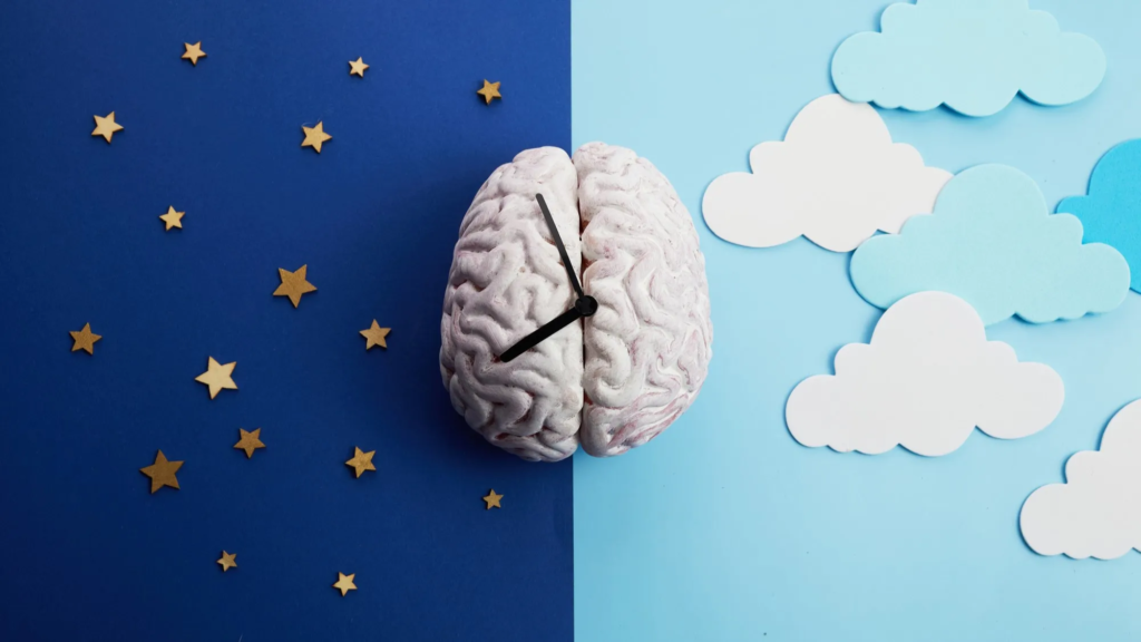 Surprising and Interesting Facts About the Human Brain