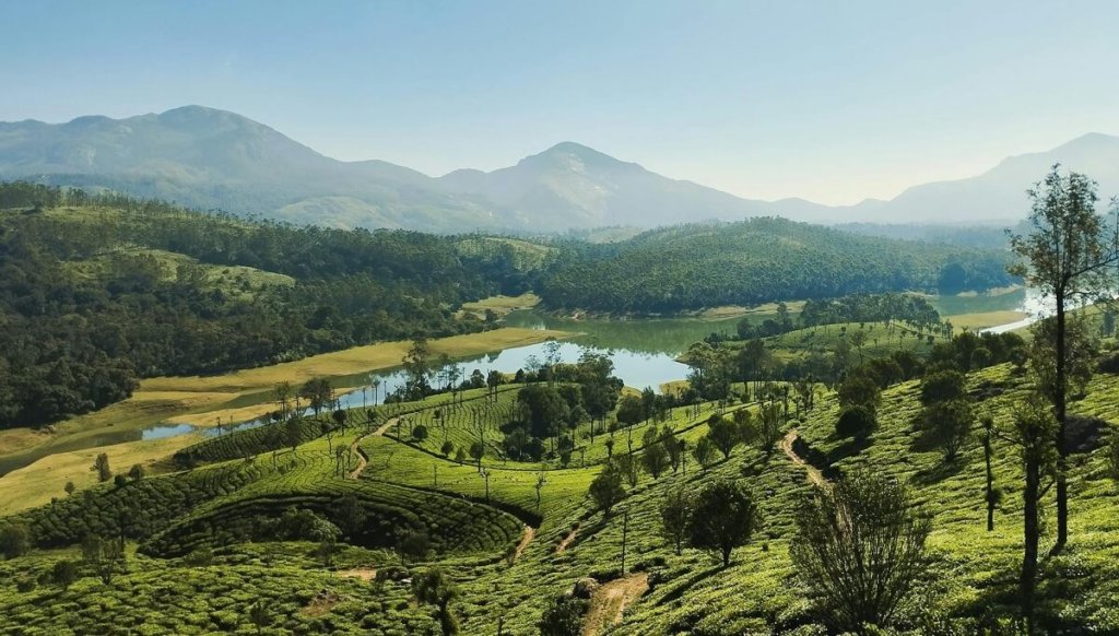 Best Hill Stations to Visit This Summer