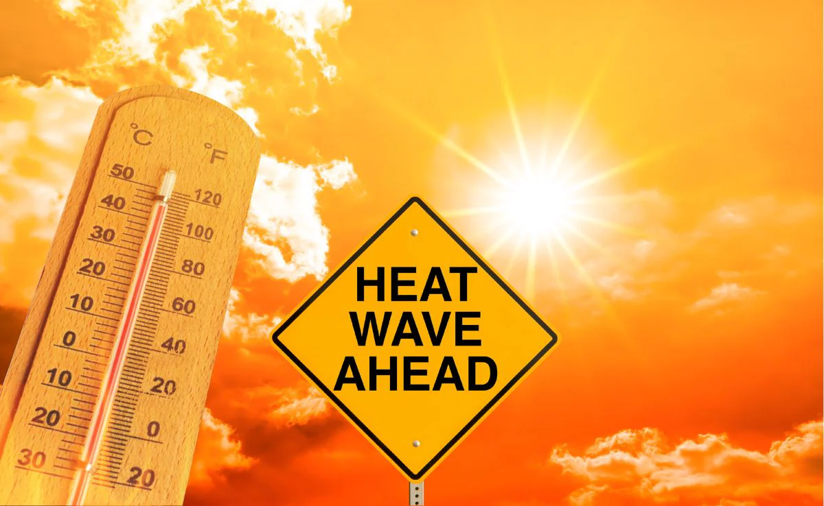 Heatwave Alert