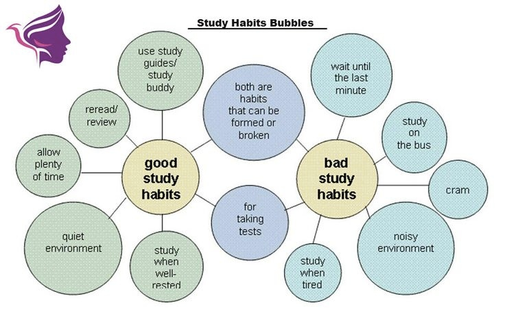 Best Study Habits for School Students