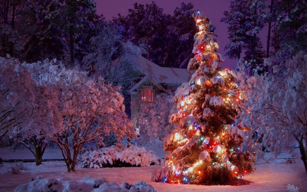 ક્રિસમસ કેમ ઉજવાય છે? અને એ સૌ માટે કેમ મહત્વપૂર્ણ છે?