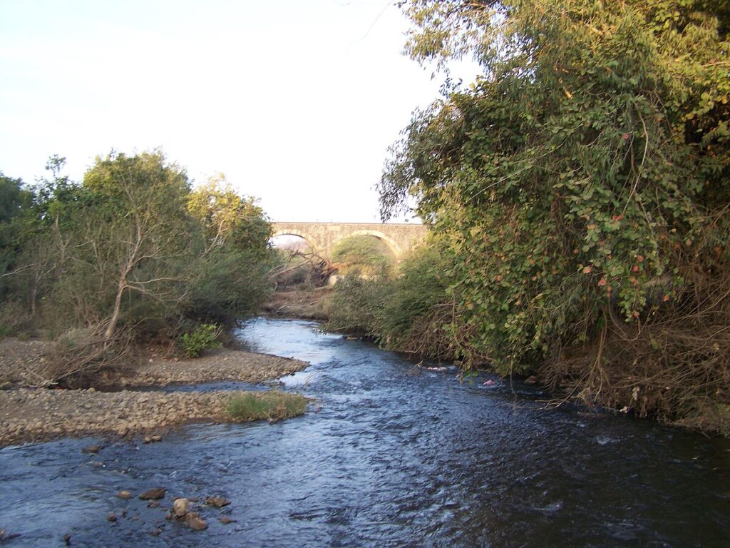  ગુજરાતના 10 બેસ્ટ રિવર-સાઈડ અને ફોરેસ્ટ લોકેશન.