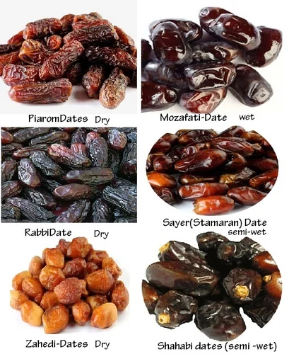 ગુજરાતના ખેડૂતો માટે 'ખારેક' (Dates) ની ખેતી