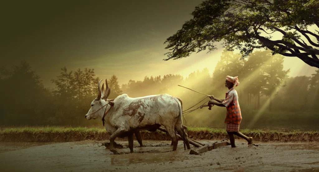 આધુનિક ખેતી: ઓછી જમીનમાં વધુ ઉત્પાદન કેવી રીતે મેળવવું? 