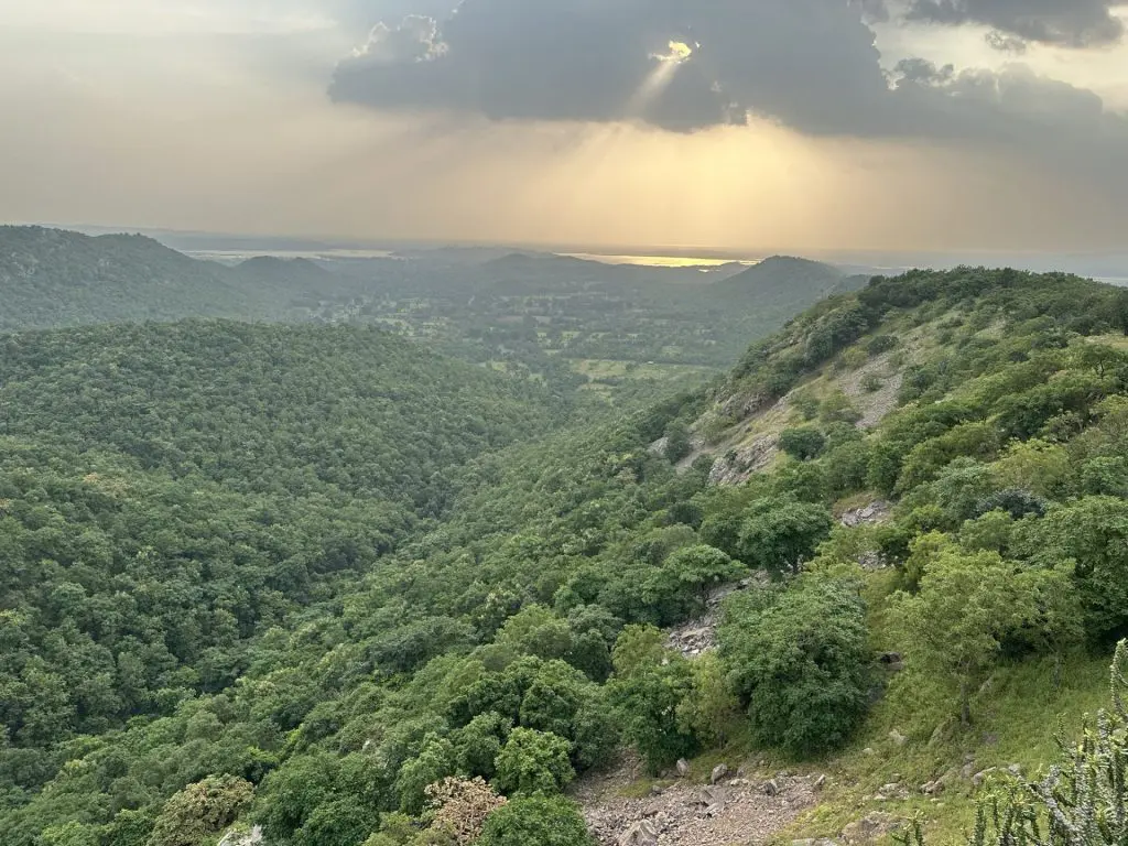 Gujarat forest department promotion