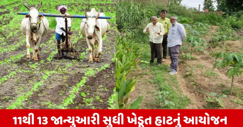 Ahmedabad Farmer Haat