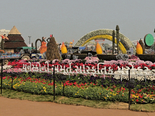 અમદાવાદમાં ફ્લાવર શોનો મુખ્યમંત્રીના હસ્તે પ્રારંભ