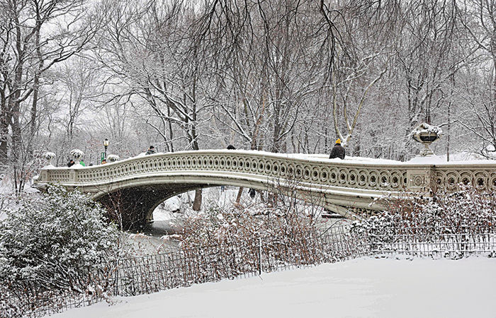 US Winter Storm Emergency

