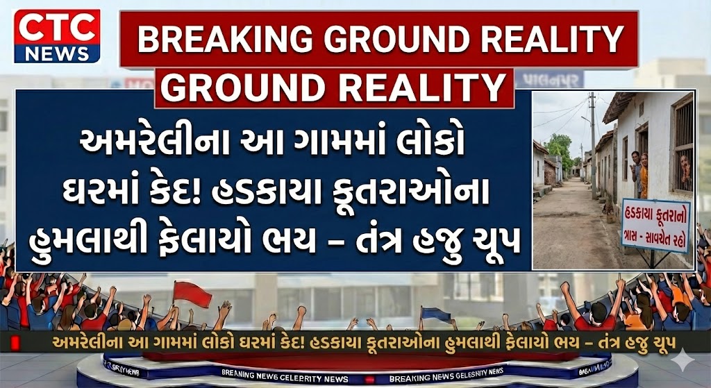 Amreli Dog Attack News