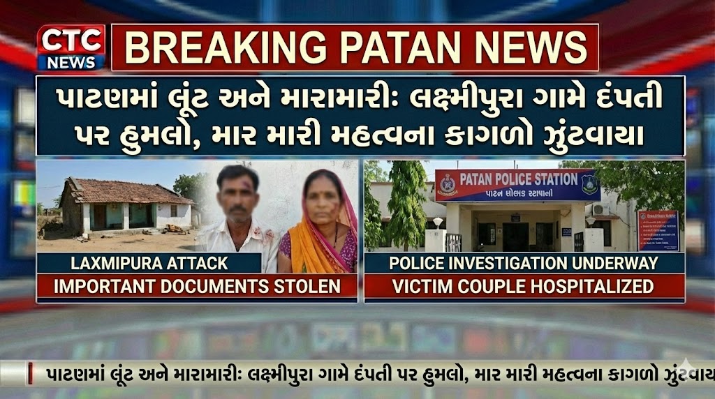 પાટણ લૂંટ મારામારી કેસ