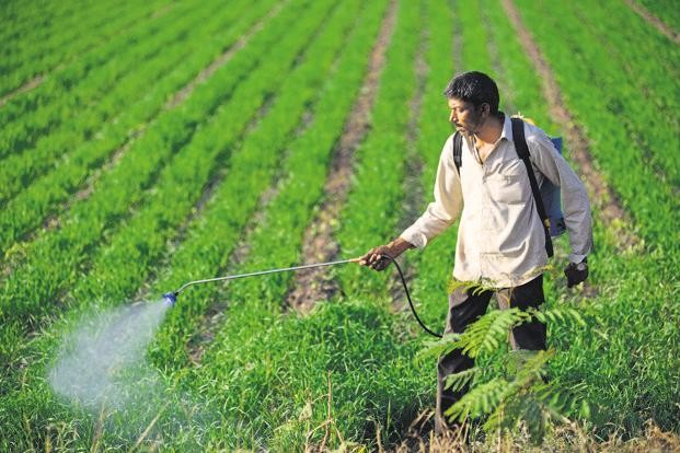 Natural Farming Benefits
