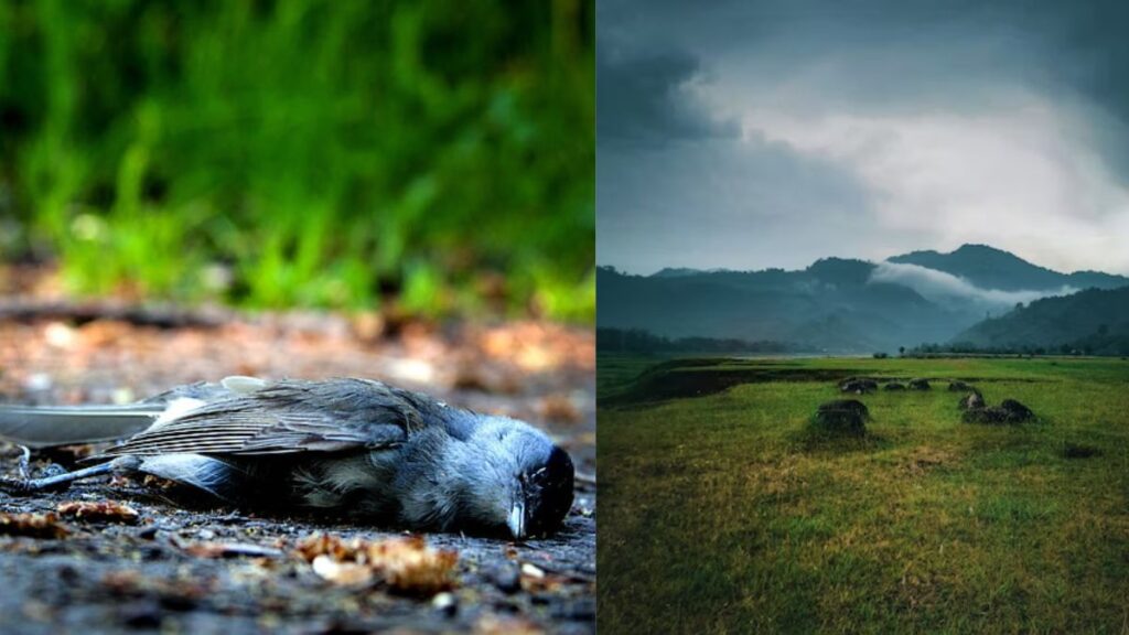 Unsolved Mysteries of the World