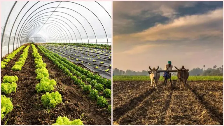 Natural Farming Benefits