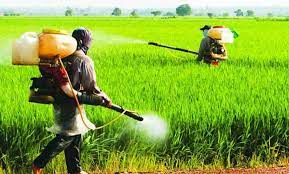 Natural Farming Benefits