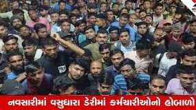 Vasudhara Dairy Controversy