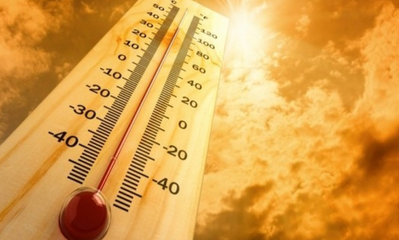 હવામાન આગાહી