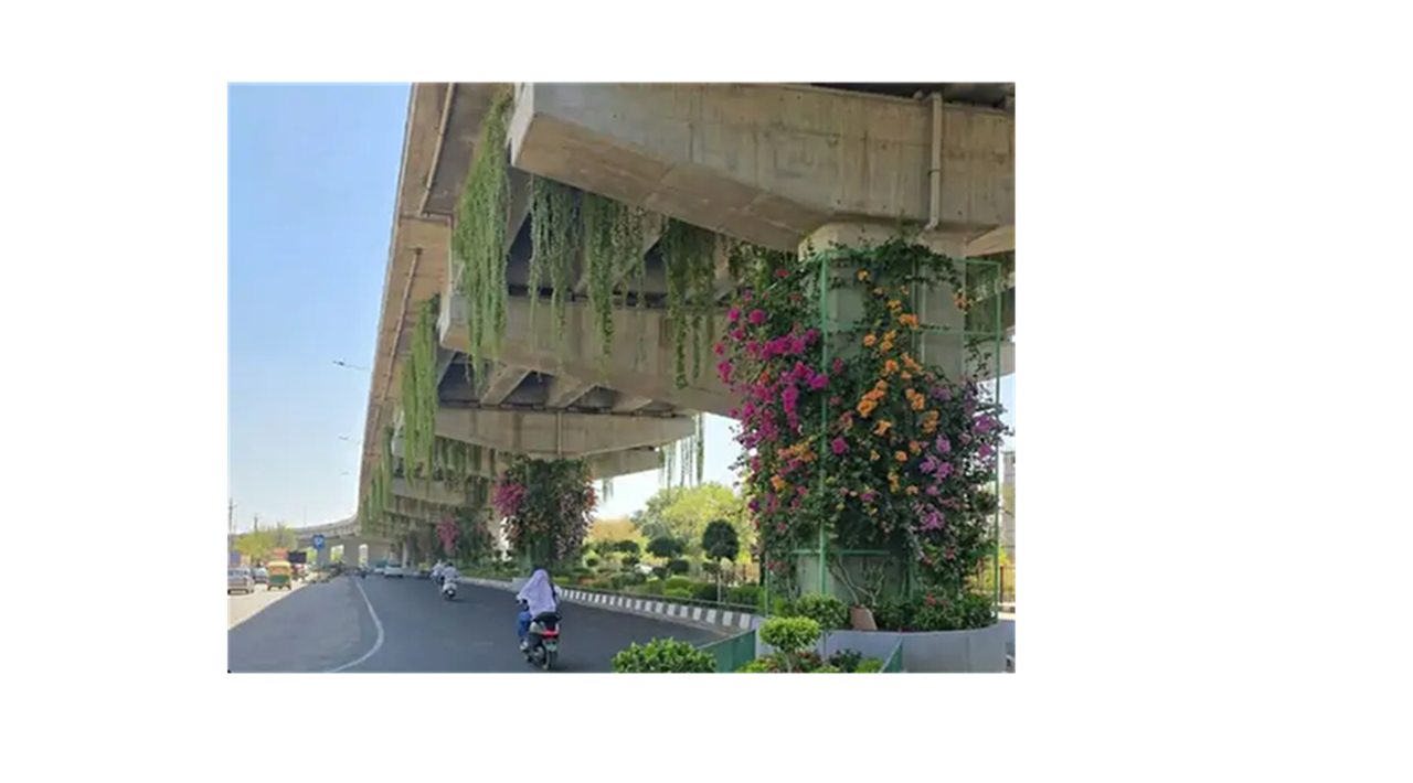 Deesa Elevated Bridge Green Project