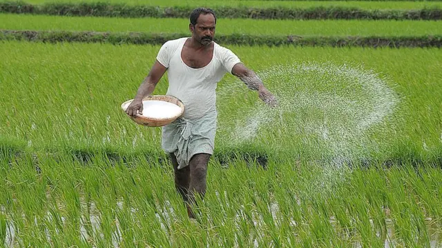 ગુજરાતમાં ખેતી