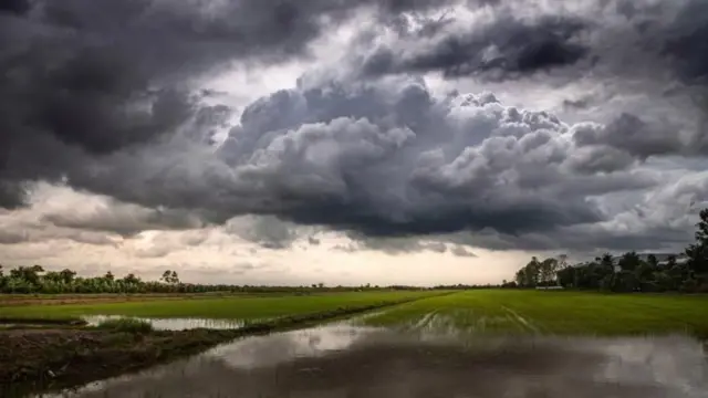 કમોસમી વરસાદ