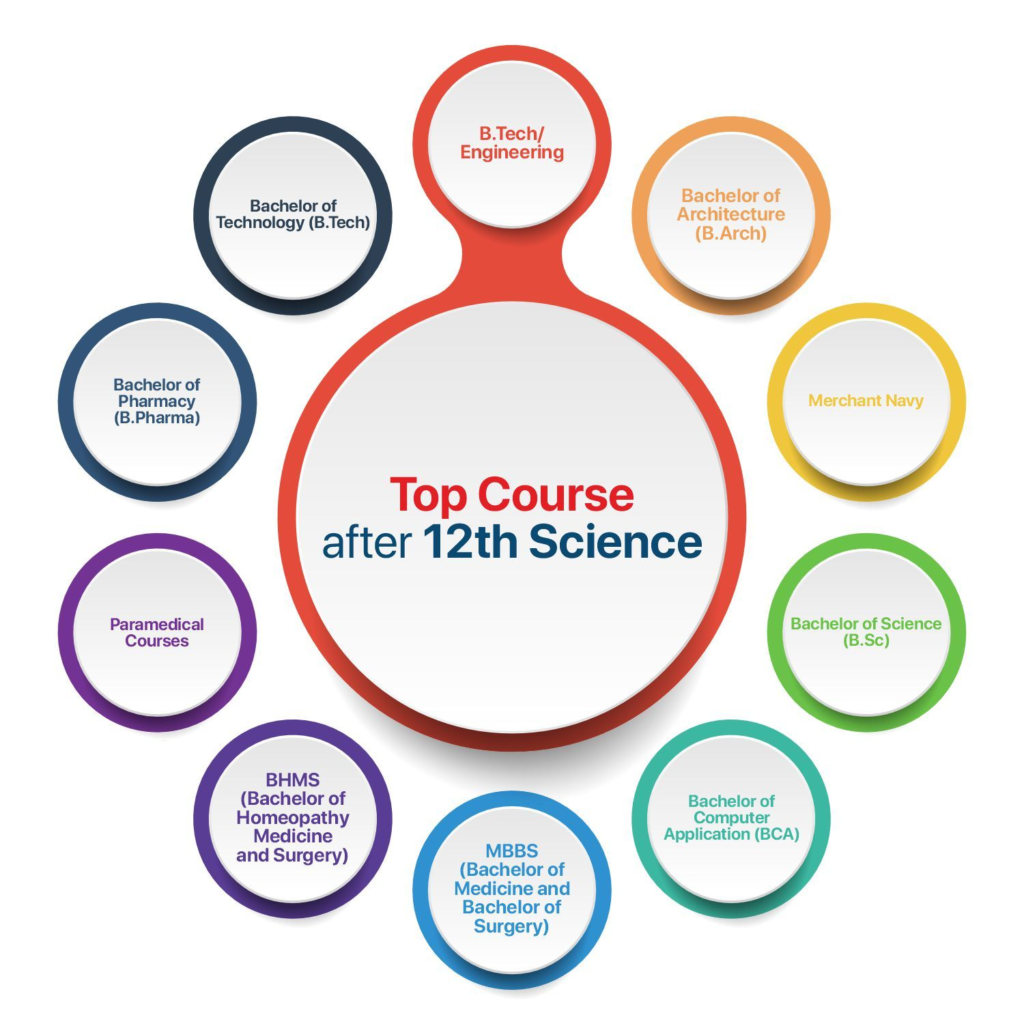 What to do after 12th