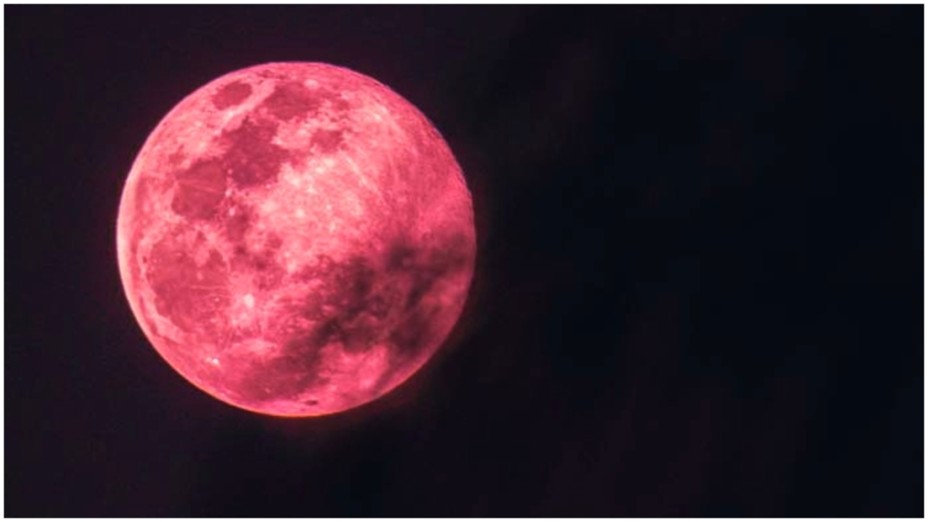 Pink Moon