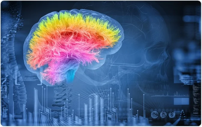 Wi-Fi Radiation Effects