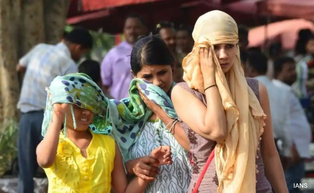 Summer Heatwave Tips