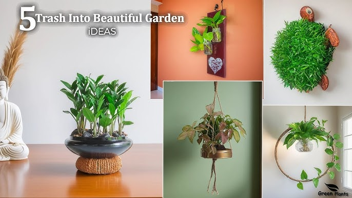 Make Plants Green with Household Items