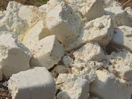 Gandhinagar Fake Paneer Raids