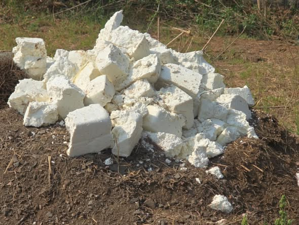 Gandhinagar Fake Paneer Raids