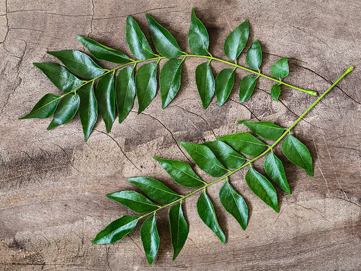 Preserve Curry Leaves Long Time