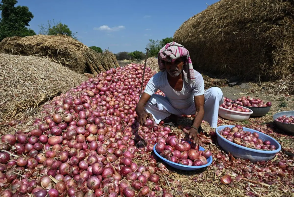 Mehsana Onion Crisis 2026