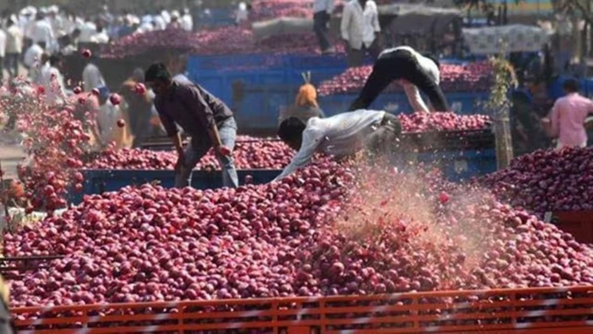Mehsana Onion Crisis 2026