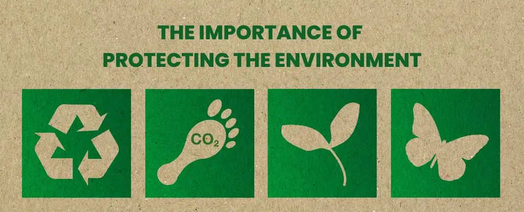 Importance of Environmental Protection
